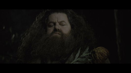 Harry Potter and the Goblet of Fire