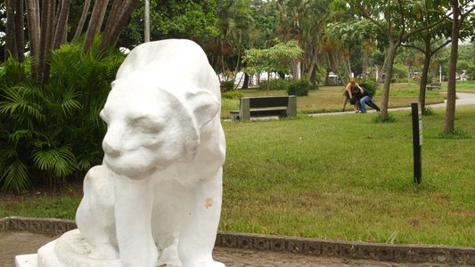 A Sete Palmos de Santos