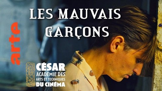Les mauvais garçons