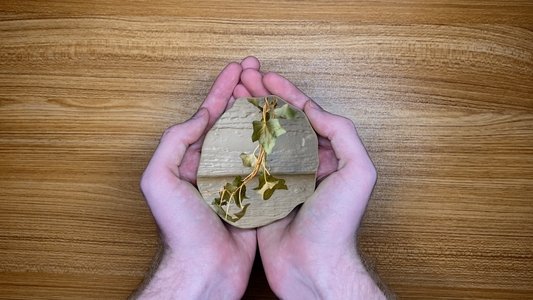 The World in Our Hands