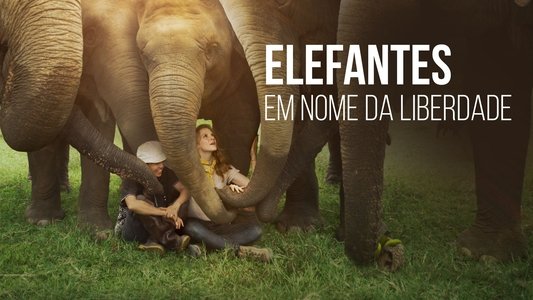 Love & Bananas: An Elephant Story