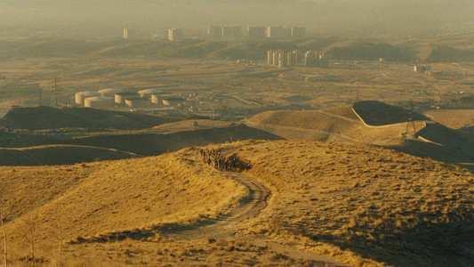 طعم گيلاس