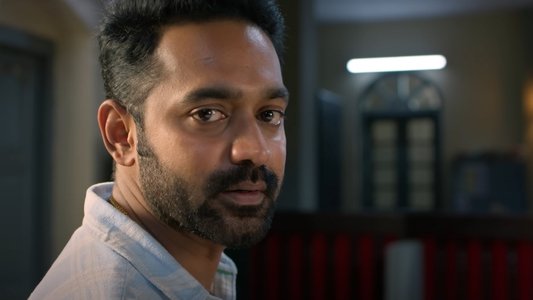 ആഭ്യന്തര കുറ്റവാളി