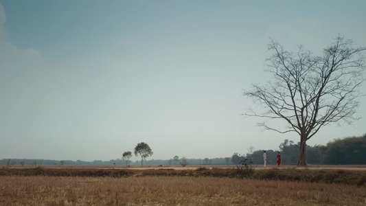 ভাইমন দা