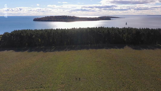 Rügen - Weiße Felsen, grüne Wälder