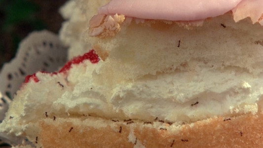 Picnic at Hanging Rock