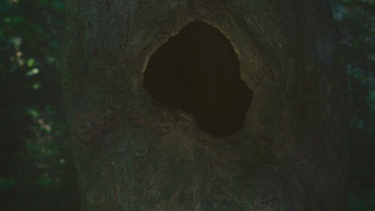 Earthen