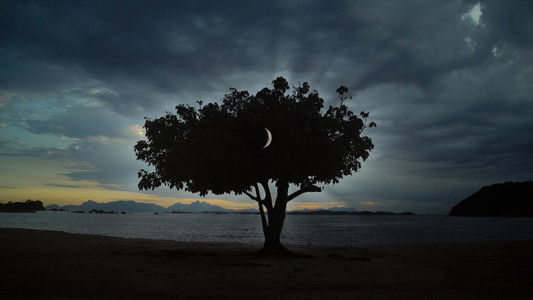 O Prazer de Matar Insetos