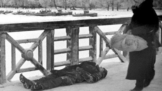 Leningrad. Stimmen einer belagerten Stadt