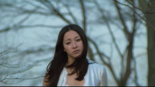 夜の歌謡シリーズ　女のみち