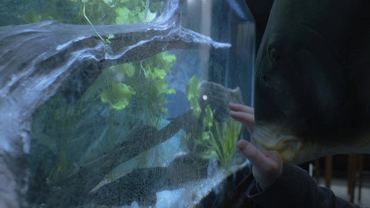 Fish Out Of Water