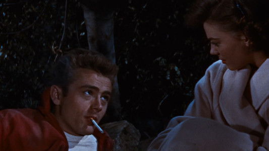 Rebel Without a Cause