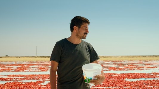 Hemme’nin Öldüğü Günlerden Biri