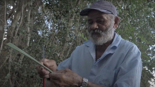 Diálogos Indígenas do Nosso Tempo