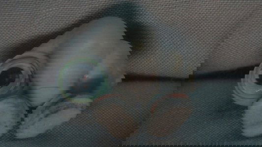 Marcel the Shell with Shoes On