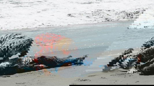 Swiss Army Man