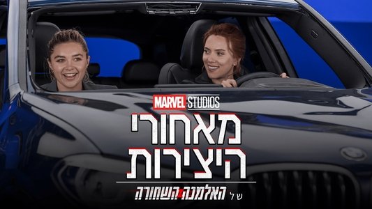 Marvel Studios Assembled