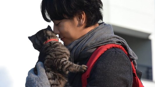 世界から猫が消えたなら
