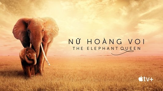 The Elephant Queen
