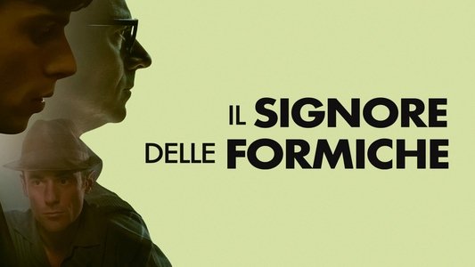 Il signore delle formiche