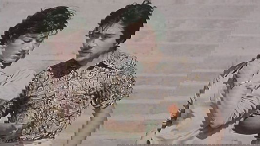 她从雾中来