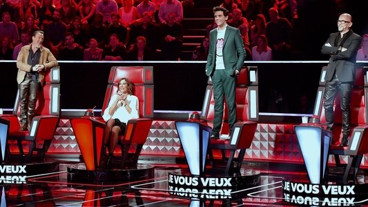 The Voice : La Plus Belle Voix