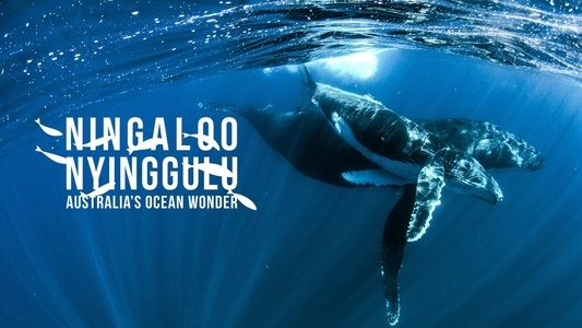 Ningaloo Nyinggulu