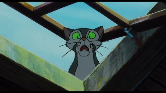 Felidae