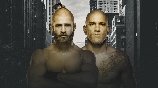 UFC 295: Prochazka vs. Pereira