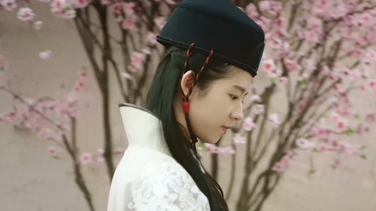 金装少年唐伯虎