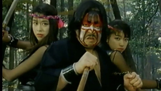 ザ・忍者ウォリア－ズ　くノ一戦士