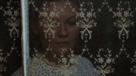 The Beguiled