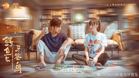 鳄鱼与牙签鸟
