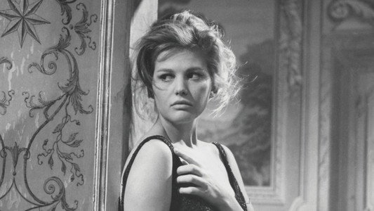I delfini
