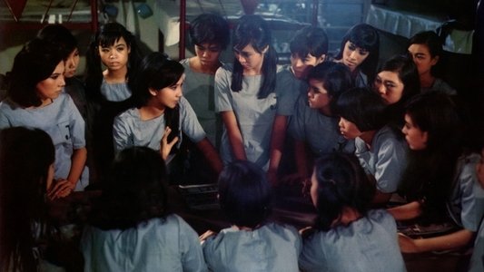 飛女正傳