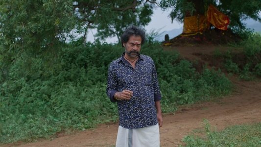 ചട്ടമ്പി