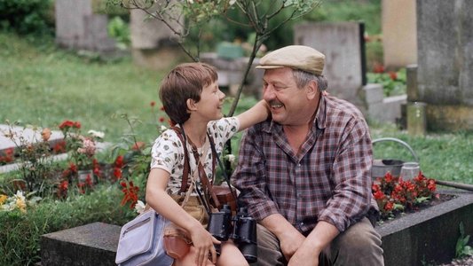 Jak dostat tatínka do polepšovny