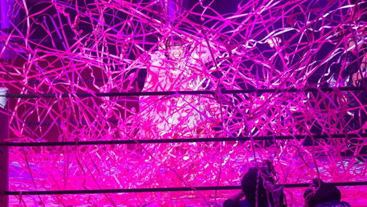 東京女子プロレス