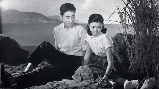 十七才の抵抗