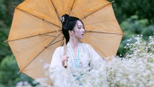 锁红颜