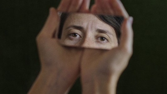 A Metamorfose dos Pássaros