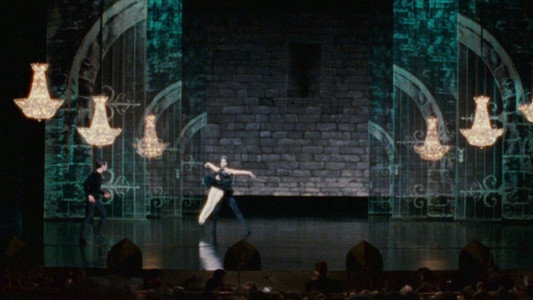 Black Swan