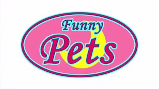 Funny Pets