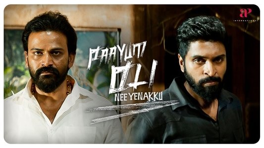 பாயும் ஒளி நீ எனக்கு