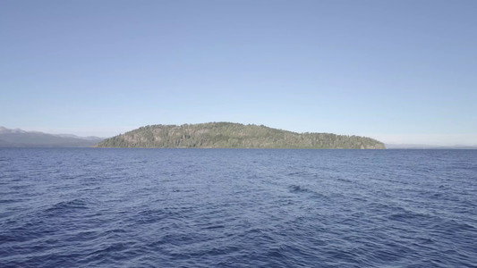 Huemul