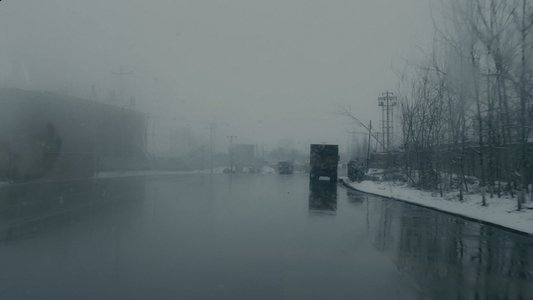 大象席地而坐