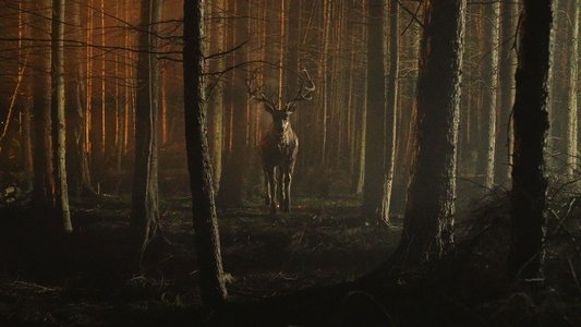 Bambi: The Reckoning