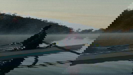 The Novice