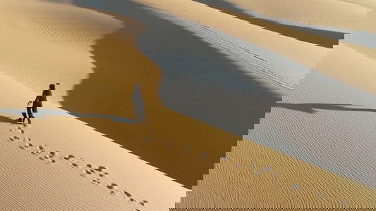 Beachworld