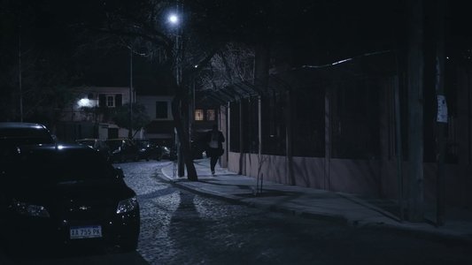 El Mago, el hijo y la detective